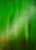 thumbs_bild-12_2011