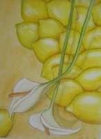 thumbs_callas-u-zironen-kopie