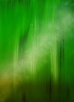 Bild-12_2011