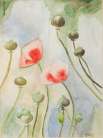 Bild-62_1